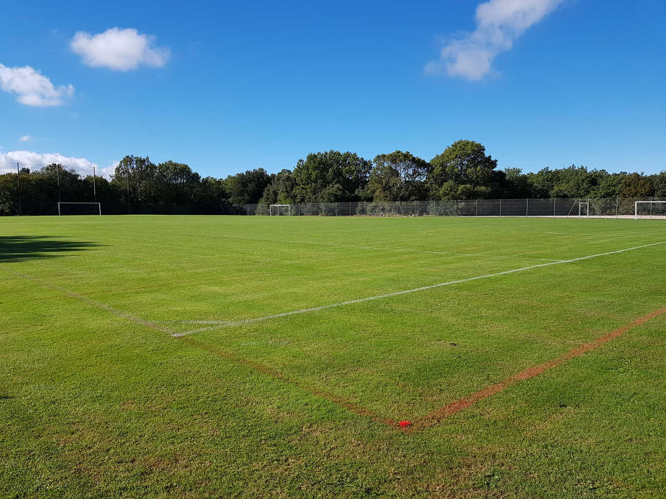 Stade engazonné de face